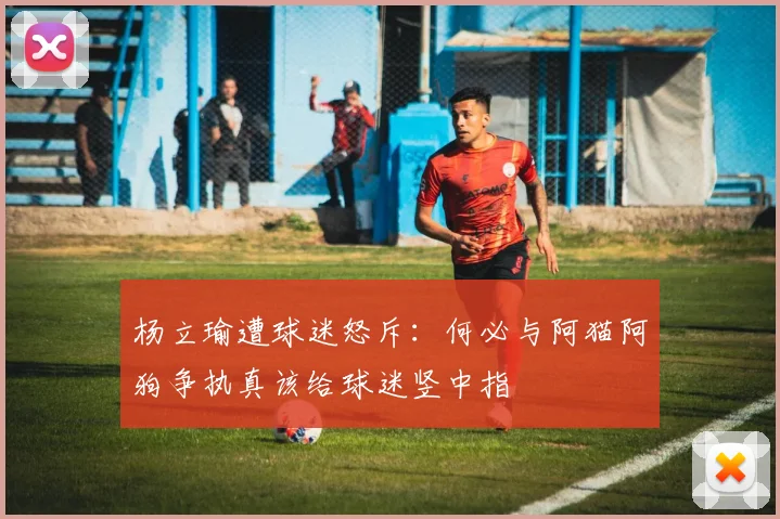 杨立瑜遭球迷怒斥：何必与阿猫阿狗争执真该给球迷竖中指