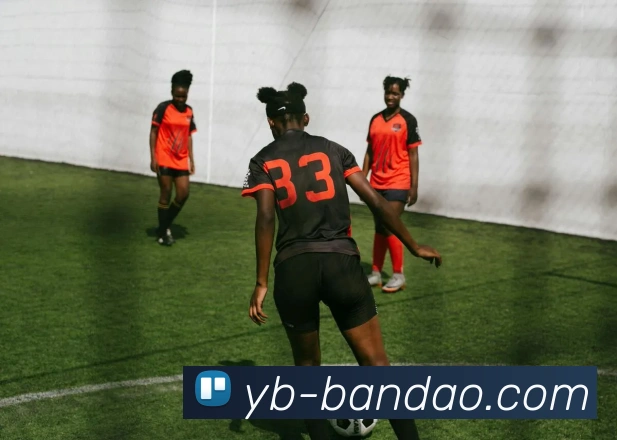 半岛体育平台生态图